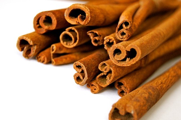 cinnamon-barks