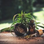How CBD Companies Are Profiting Due To Covid-19
