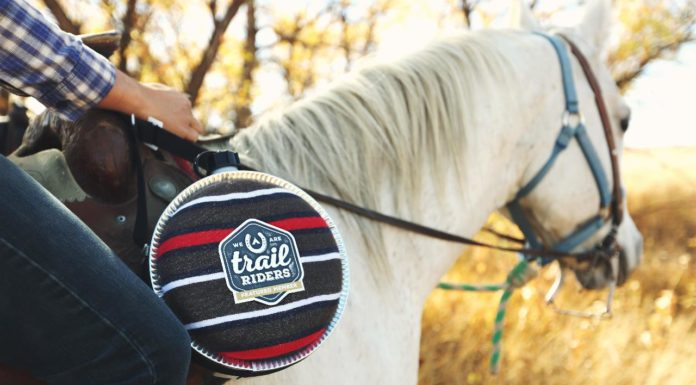 How To Choose the Best Horse Saddle Pads?