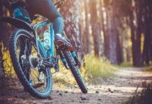 What Are the Health Benefits of Biking